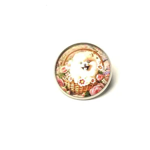 Vintage Pomeranian dog in flower basket time gem cabochon brooch pin accessory