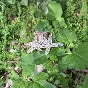 Detailed shot of sparkling crystal starfish hair clip on a natural green leaf background.