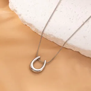 Close-up of a silver U-shaped titanium steel pendant necklace on a stone