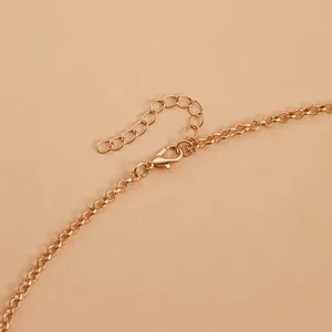 Macro detail of French style gold chain necklace featuring lobster clasp and extension chain