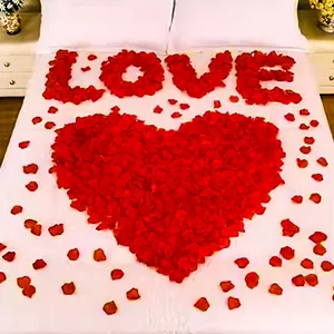 Red artificial rose petals arranged in a heart shape and LOVE on a white bed sheet