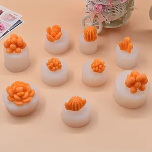 Vista dettagliata di vari stampi in silicone succulente per candele fai da te e aromi
