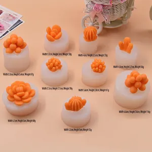 Vari stampi in silicone per succulente 3D per candele e pietre di gesso fai-da-te