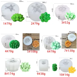 Detail view of 10 succulent silicone molds with measurements and weight specifications.