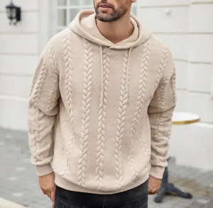 Vue détaillée du sweat à capuche pour hommes en tricot jacquard torsadé beige