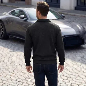 Herren Langarm-Strick-Poloshirt in Dunkelgrün mit Zopfmuster, Rückansicht im Freien