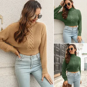 Damen Rollkragen Gekürzt Pullover Texturiert Fischgrät Strick Locker Langarm Acryl Pullover Herbst Winter Mode Top