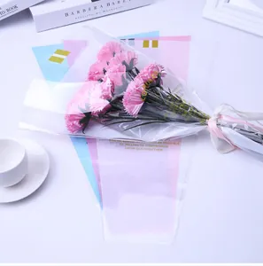 Vue détaillée du sac à fleurs transparent Love Rules avec des œillets roses