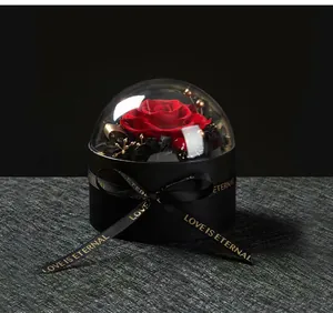 Detailansicht einer konservierten roten Rose in einer Glaskuppel mit schwarzem Band