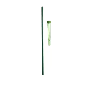 Durable green flower water tube and support stake for DIY orchid flower care
