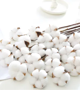 Macro detail view of fluffy natural dried cotton flower heads for DIY floral arrangements