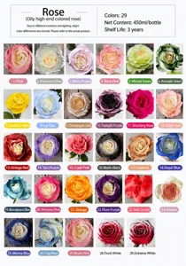 Collection de peinture florale 450ml en 29 couleurs pour la teinture de fleurs