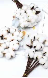 Close-up detail of natural dried cotton flower clusters with rustic brown paper-wrapped stems