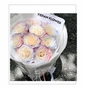 Gros plan de roses aux pétales dégradés bleu et rose dans un emballage blanc.