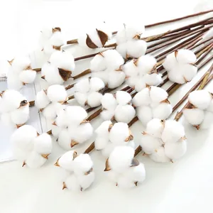 Natural Dried Cotton Stems With Iron Wire Manual Craft Cotton Head Shell Bouquet Materials For Home Wedding Party Decoration