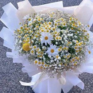 Wasserfestes Blumenpapier im koreanischen Stil für elegante dekorative Sträuße