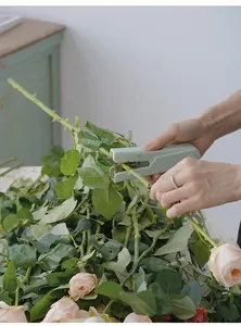 Primer plano del limpiador de espinas de rosas verde macaron quitando espinas