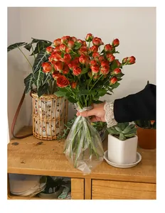 Dettaglio di un sacchetto d'acqua in PE trasparente per l'idratazione dei bouquet