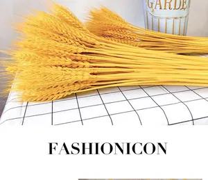 Close-up of golden natural dried wheat ears for home decor and floral arrangements