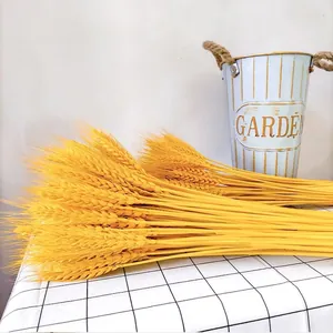Natural golden dried wheat stalks bundle for floral decoration and opening ceremony