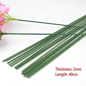 Green Iron Plastic Floral Wire Stems For DIY Bouquet Making Floral Arrangement Support Die-cutting Florist Supplies Craft Accessories