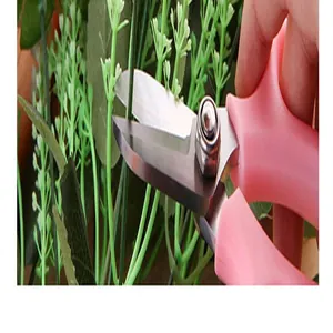 Close-up of pink professional florist scissors pruning green plant stems in a garden