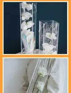 Boîte d'emballage de fleurs transparente avec chaîne argentée pour rose unique