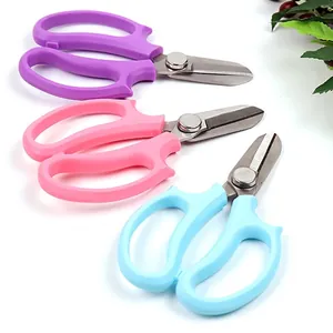 Set di forbici floreali professionali colorate per composizioni floreali e giardinaggio