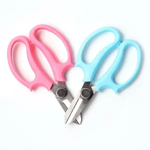 Forbici professionali per fioristi con manici rosa e blu per la potatura dei fiori.