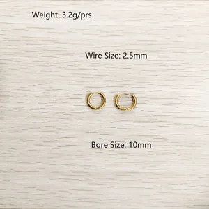 Créoles en acier titane doré, diamètre intérieur 10mm et fil de 2,5mm