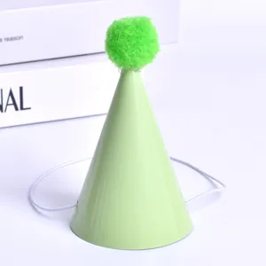 Detailed view of a mini light green pet birthday party hat with a green pom-pom topper