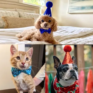 Various pets wearing sparkling sequin birthday hats and bow ties for party celebration