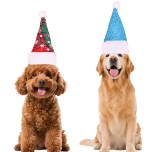 Chiens mignons portant des chapeaux de Noël festifs à carreaux rouges et paillettes bleues