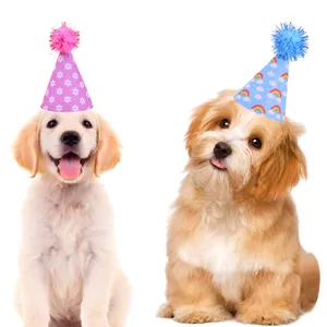 Creative felt pet birthday party hats shown on two cute puppies for celebration decorations