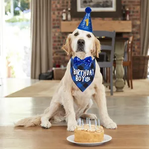 Golden retriever dog wearing blue plaid birthday bandana, sequin hat, and bow tie party set