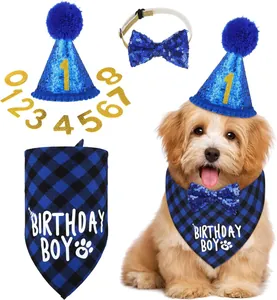 Complete blue sequined pet birthday party set with hat, bow tie, bandana and numbers