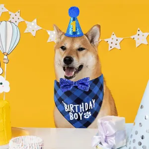 Close-up view of a blue plaid dog birthday bandana and sequined party hat on a Shiba Inu