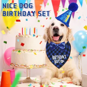 Golden retriever dog birthday party set with blue sequined hat bow tie and plaid bandana