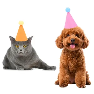 Cappelli di compleanno in feltro con pompon per gatti e cani piccoli decorazioni