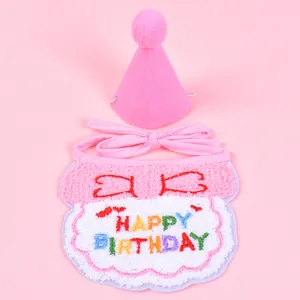 Soft pink plush pet birthday party set including cone hat and embroidered bib accessory