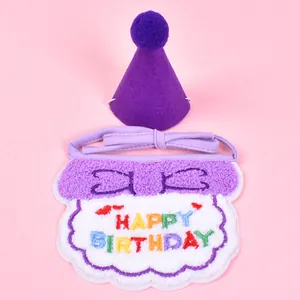 Detail view of embroidered HAPPY BIRTHDAY pet bib and purple felt party cone hat
