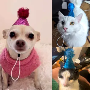 Sombreros de fiesta de cumpleaños para mascotas con purpurina usados por gatos y perros
