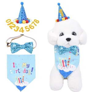 Detail view of blue pet birthday party set with hat, bandana, and sequined bow tie