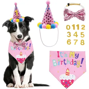Detail view of pink pet birthday set with hat, bowtie, bandana, and gold numbers