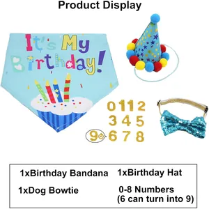 Complete pet birthday party set including bandana, hat, bowtie, and glitter numbers.