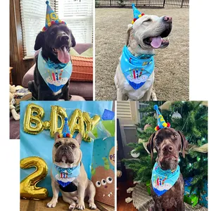 Diverse dogs wearing blue birthday hat, sequined bow tie and cake bandana set
