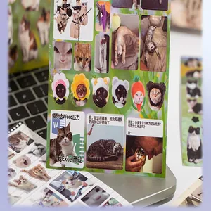 Funny cat meme sticker sheet for creative DIY journals and phone case decoration