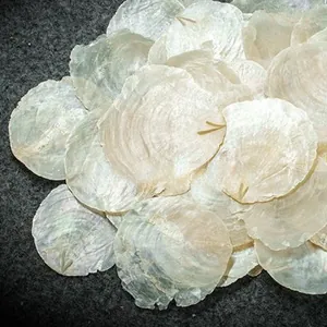 Natural Shell Slices Iridescent White Capiz Shells For Wind Chime DIY Craft Making Wedding Home Party Decoration Hanging Ornament