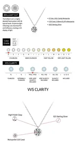 Detailed view of Moissanite pendant with VVS1 clarity and D color grading charts