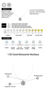 Detailed product parameters for 1.00ct VVS1 moissanite necklace with S925 silver chain